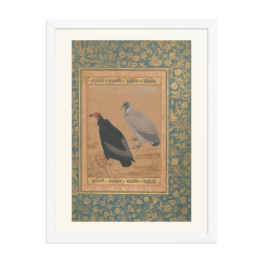 Red-Headed Vulture and Long-Billed Vulture — Shah Jahan Album Folio | Restored Mughal Wall Art — view 5