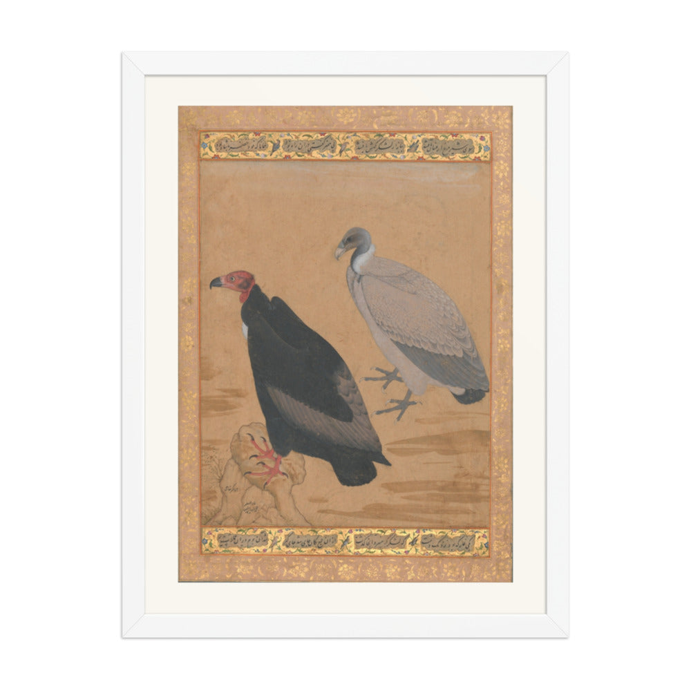 Red-Headed Vulture and Long-Billed Vulture — Shah Jahan Album Folio | Restored Mughal Wall Art — view 6