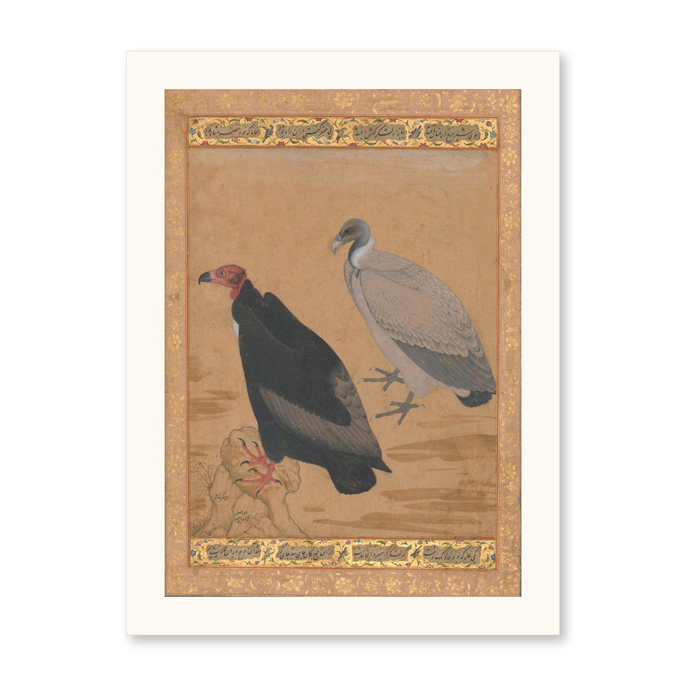 Red-Headed Vulture and Long-Billed Vulture — Shah Jahan Album Folio | Restored Mughal Wall Art — view 7
