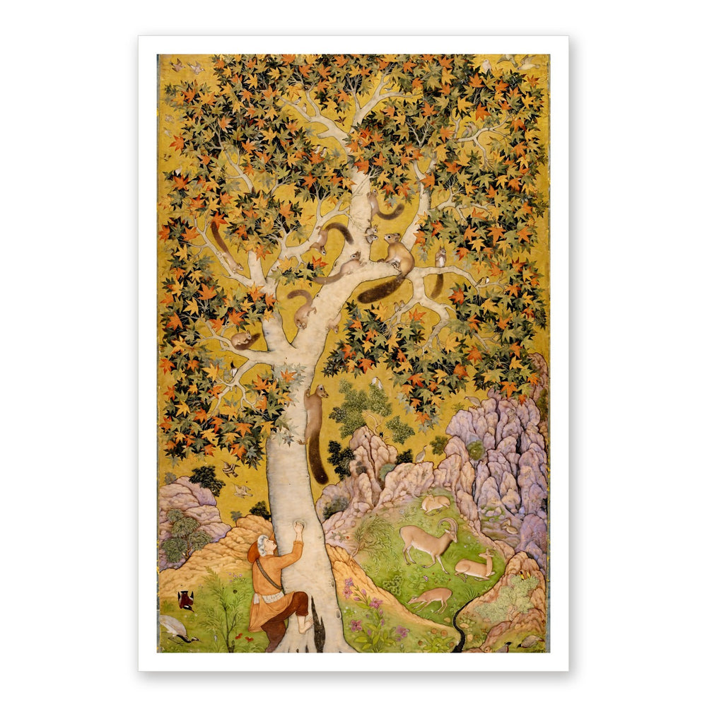 Squirrels in a Plane Tree by Abu'l Hasan — Mughal Folio | Restored Mughal Wall Art — view 7