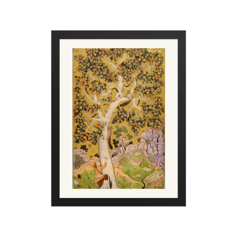 Squirrels in a Plane Tree by Abu'l Hasan — Mughal Folio | Restored Mughal Wall Art