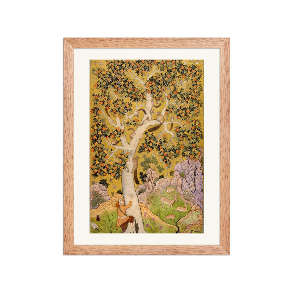 Squirrels in a Plane Tree by Abu'l Hasan — Mughal Folio | Restored Mughal Wall Art — view 5