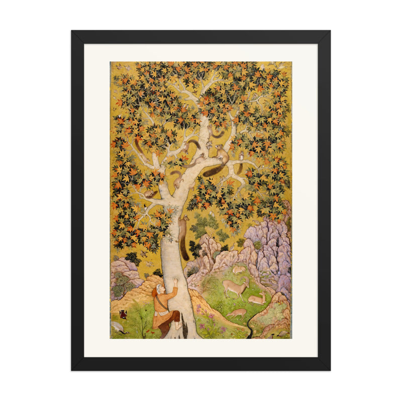 Squirrels in a Plane Tree by Abu'l Hasan — Mughal Folio | Restored Mughal Wall Art