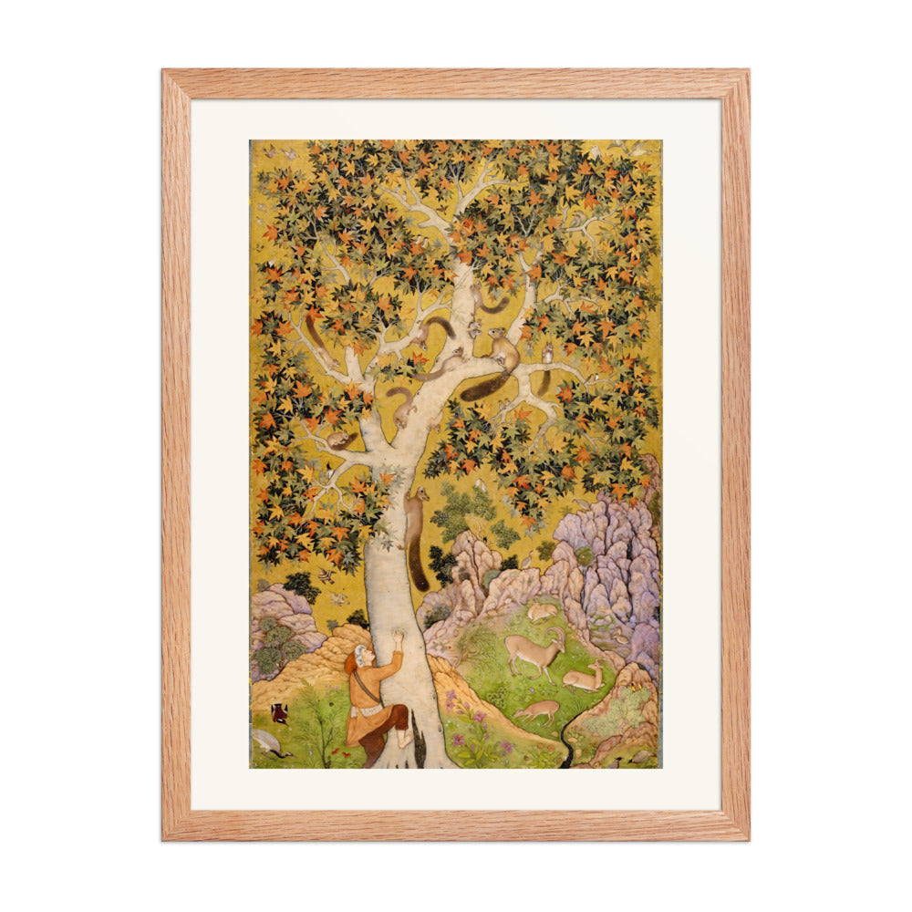 Squirrels in a Plane Tree by Abu'l Hasan — Mughal Folio | Restored Mughal Wall Art — view 2