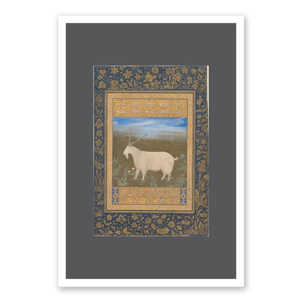 Ladakhi Mountain Goat – Jahangir Period Album Folio – Restored Mughal Wall Art — view 7
