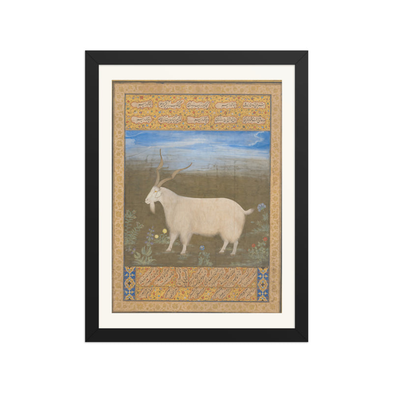 Ladakhi Mountain Goat – Jahangir Period Album Folio – Restored Mughal Wall Art