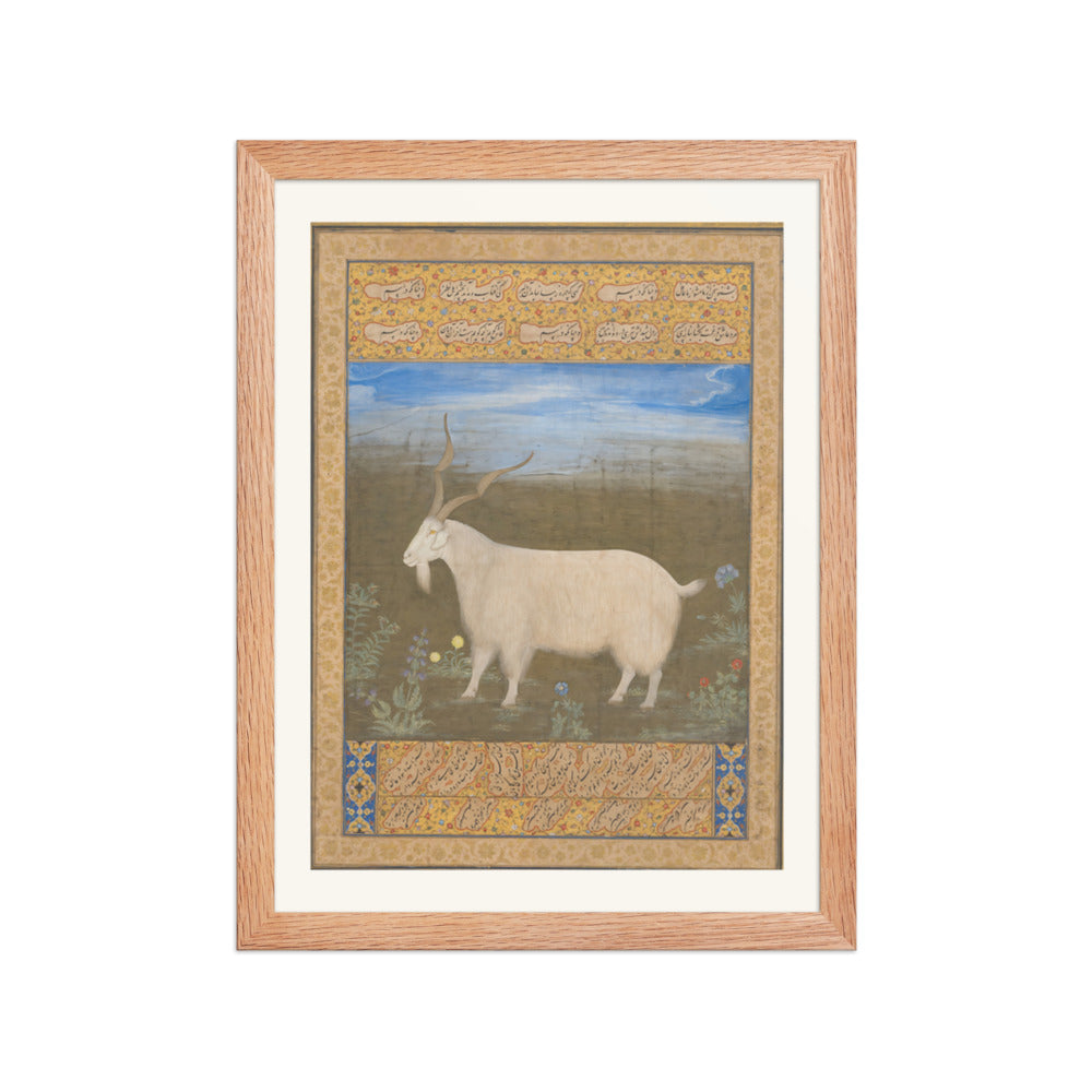 Ladakhi Mountain Goat – Jahangir Period Album Folio – Restored Mughal Wall Art — view 2