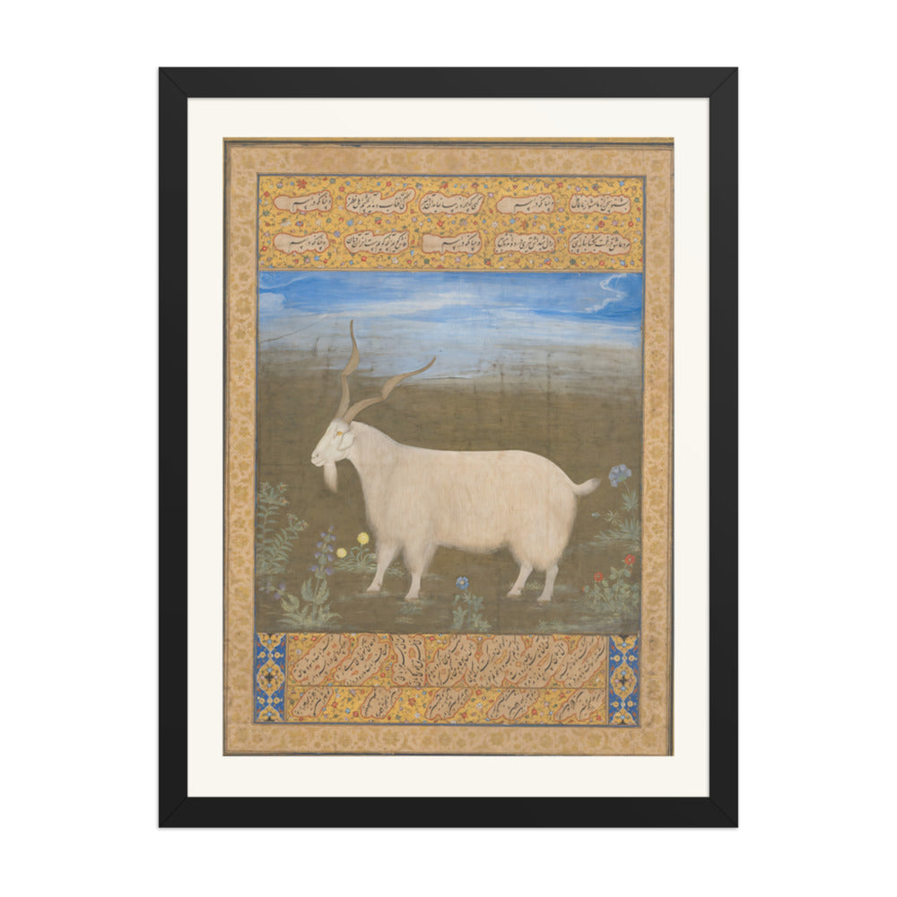 Ladakhi Mountain Goat – Jahangir Period Album Folio – Restored Mughal Wall Art — view 4