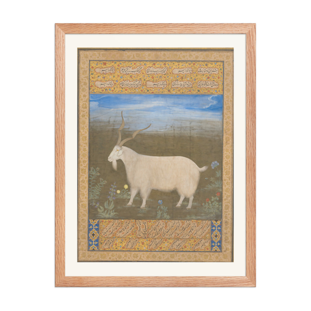 Ladakhi Mountain Goat – Jahangir Period Album Folio – Restored Mughal Wall Art — view 5