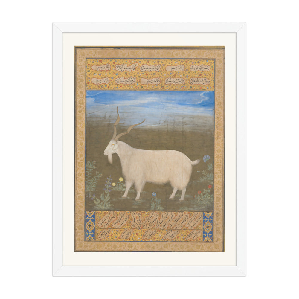 Ladakhi Mountain Goat – Jahangir Period Album Folio – Restored Mughal Wall Art — view 6