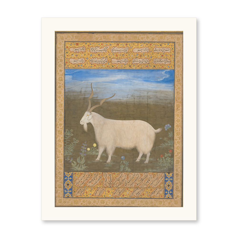 Ladakhi Mountain Goat – Jahangir Period Album Folio – Restored Mughal Wall Art — view 7