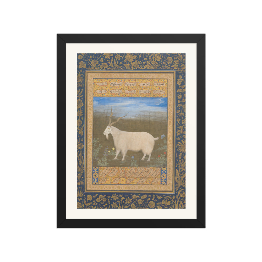 Ladakhi Mountain Goat – Jahangir Period Album Folio – Restored Mughal Wall Art — view 4