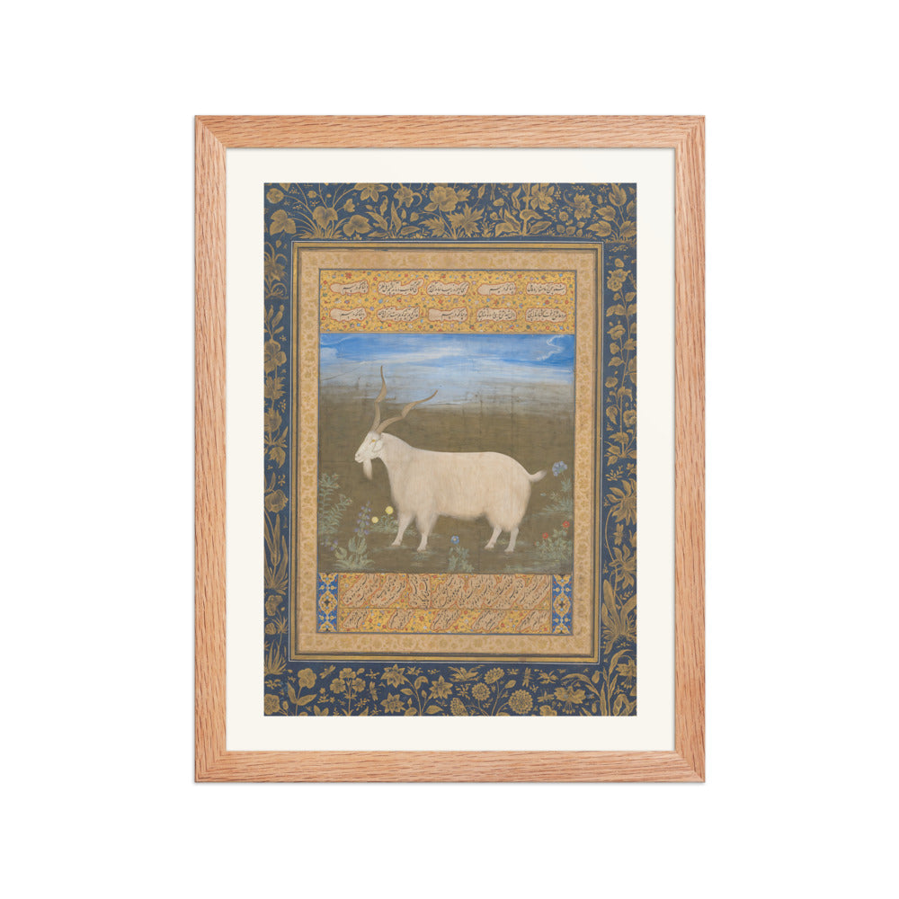 Ladakhi Mountain Goat – Jahangir Period Album Folio – Restored Mughal Wall Art — view 5