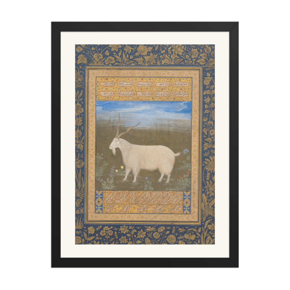 Ladakhi Mountain Goat – Jahangir Period Album Folio – Restored Mughal Wall Art — view 1