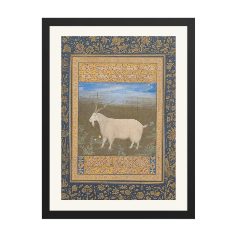 Ladakhi Mountain Goat – Jahangir Period Album Folio – Restored Mughal Wall Art