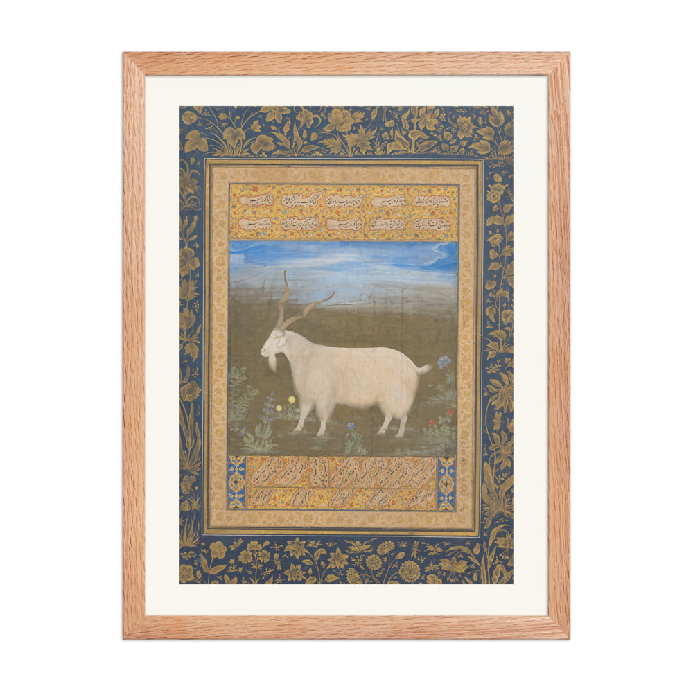 Ladakhi Mountain Goat – Jahangir Period Album Folio – Restored Mughal Wall Art — view 2