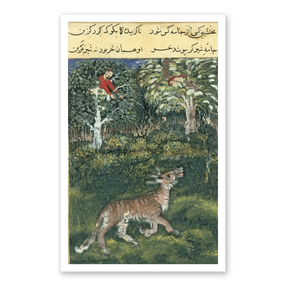 The Donkey in a Tiger's Skin — Folio from the Tutinama — view 7