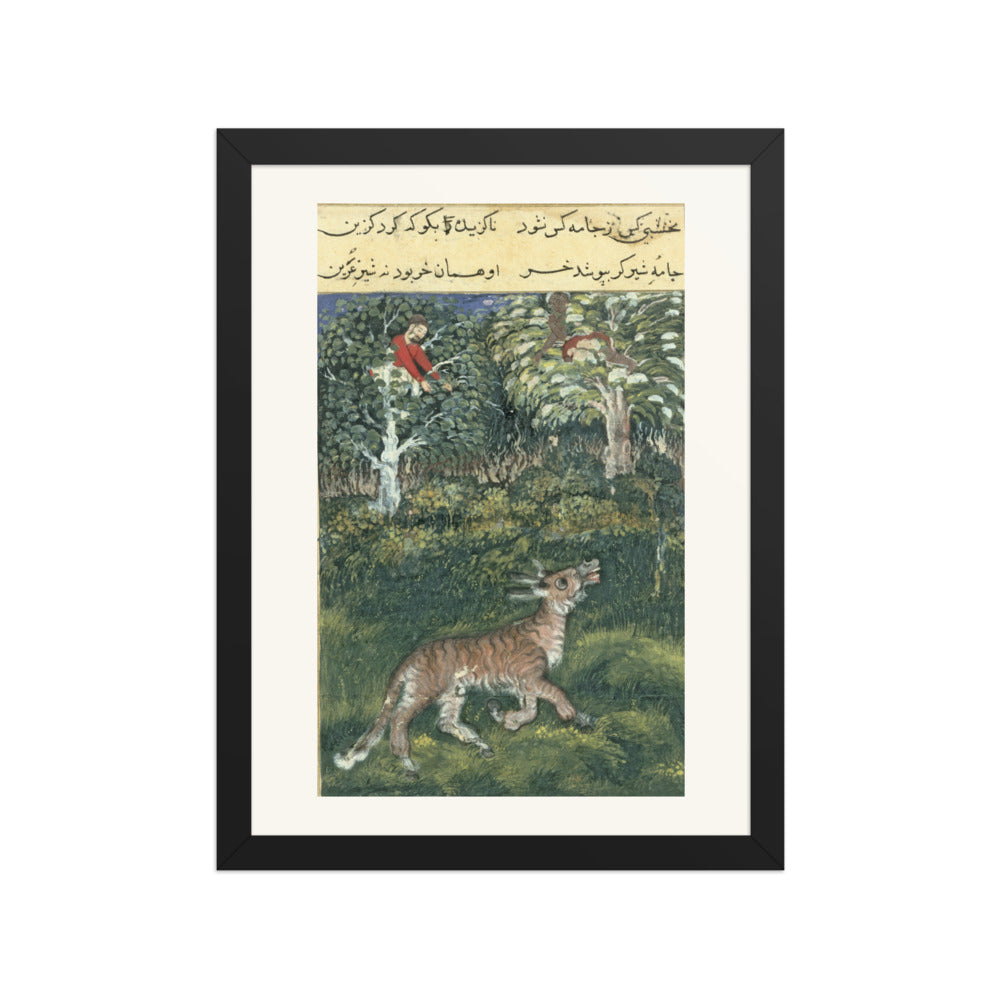 The Donkey in a Tiger's Skin — Folio from the Tutinama — view 2