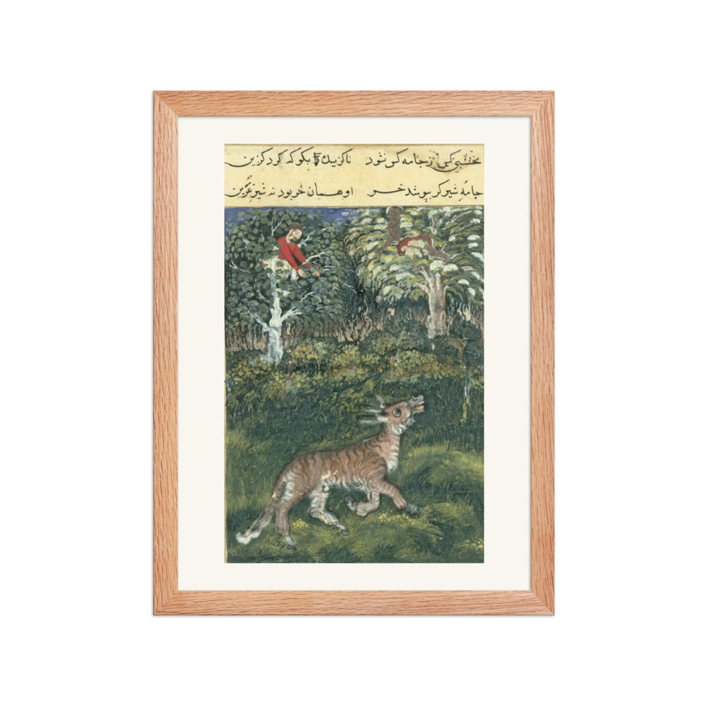 The Donkey in a Tiger's Skin — Folio from the Tutinama — view 4