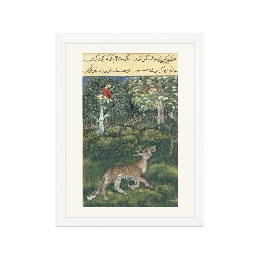 The Donkey in a Tiger's Skin — Folio from the Tutinama — view 6