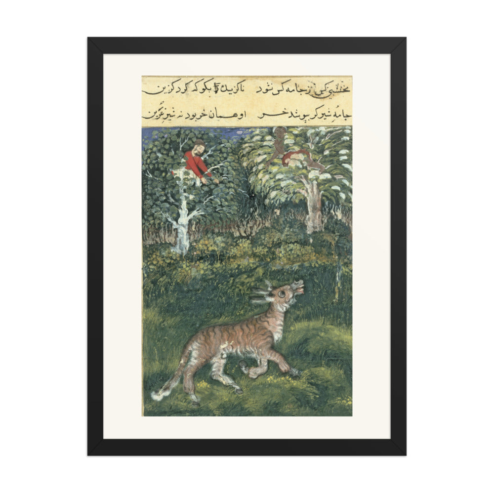 The Donkey in a Tiger's Skin — Folio from the Tutinama — view 1