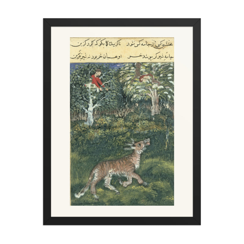 The Donkey in a Tiger's Skin — Folio from the Tutinama