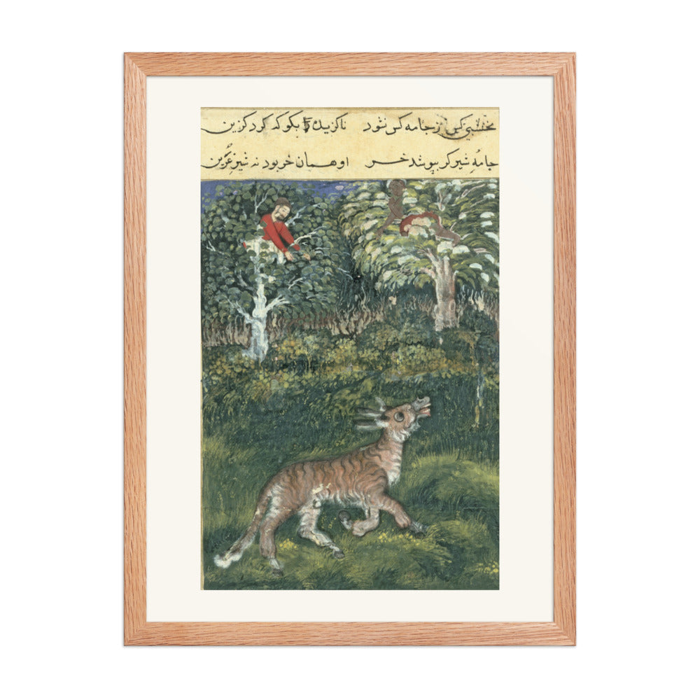 The Donkey in a Tiger's Skin — Folio from the Tutinama — view 3