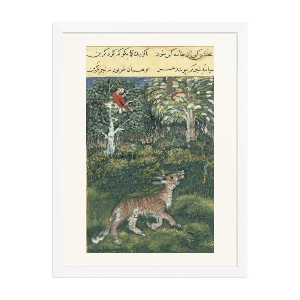 The Donkey in a Tiger's Skin — Folio from the Tutinama — view 5