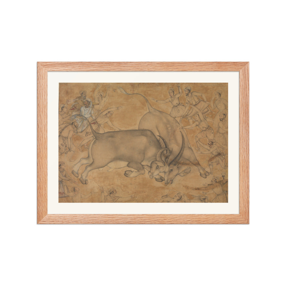 Buffaloes in Combat, attributed to Miskin | Restored Mughal Wall Art — view 4