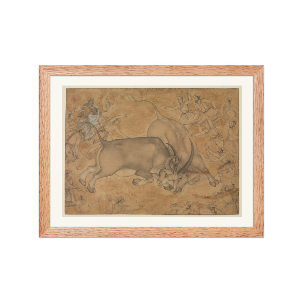 Buffaloes in Combat, attributed to Miskin | Restored Mughal Wall Art — view 4