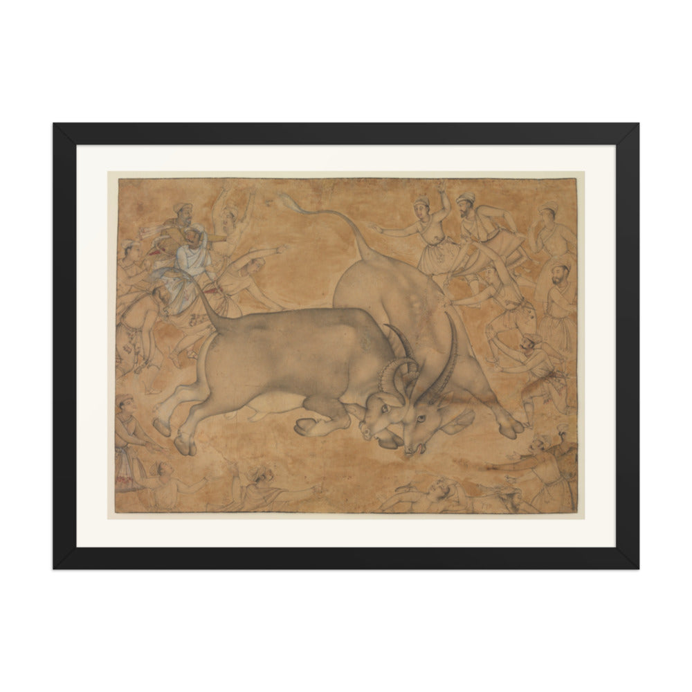 Buffaloes in Combat, attributed to Miskin | Restored Mughal Wall Art — view 1