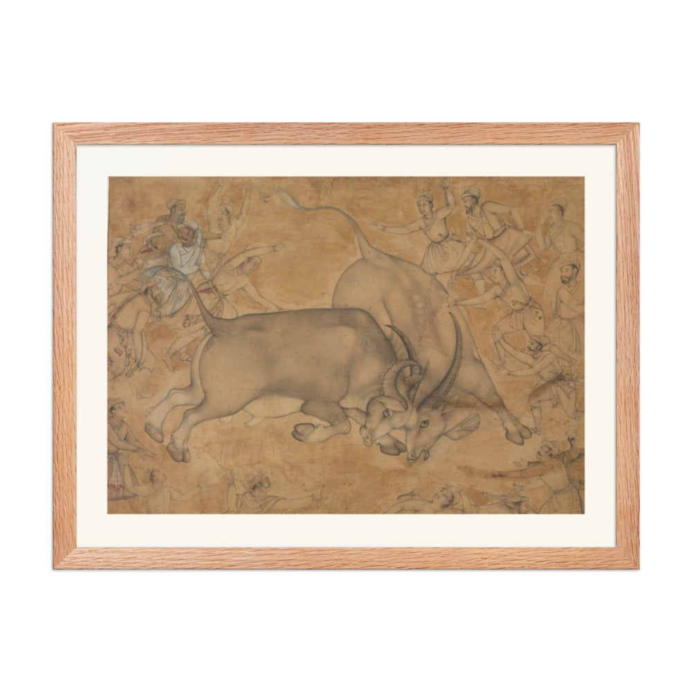 Buffaloes in Combat, attributed to Miskin | Restored Mughal Wall Art — view 3