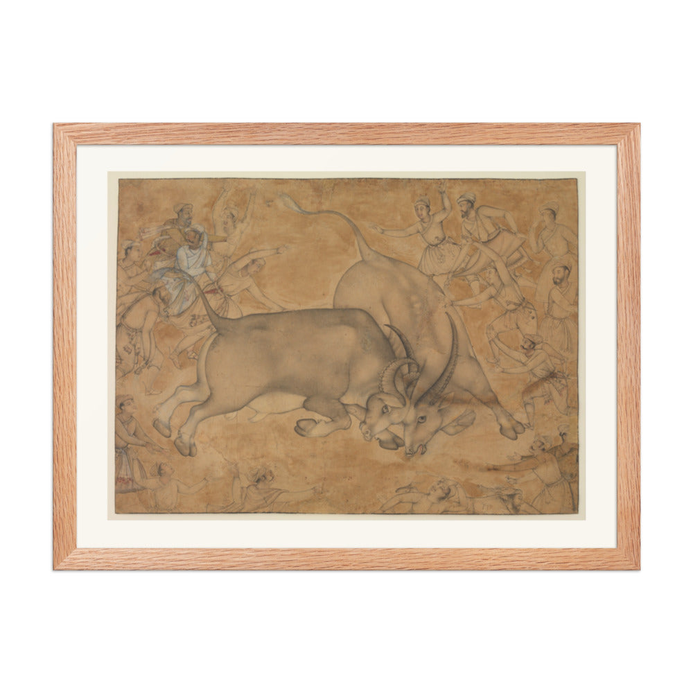 Buffaloes in Combat, attributed to Miskin | Restored Mughal Wall Art — view 3