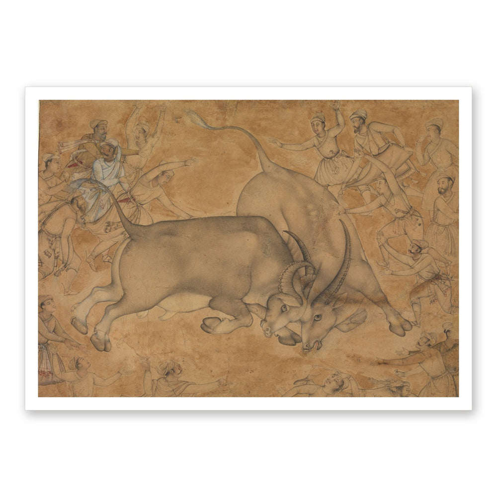 Buffaloes in Combat, attributed to Miskin | Restored Mughal Wall Art — view 7