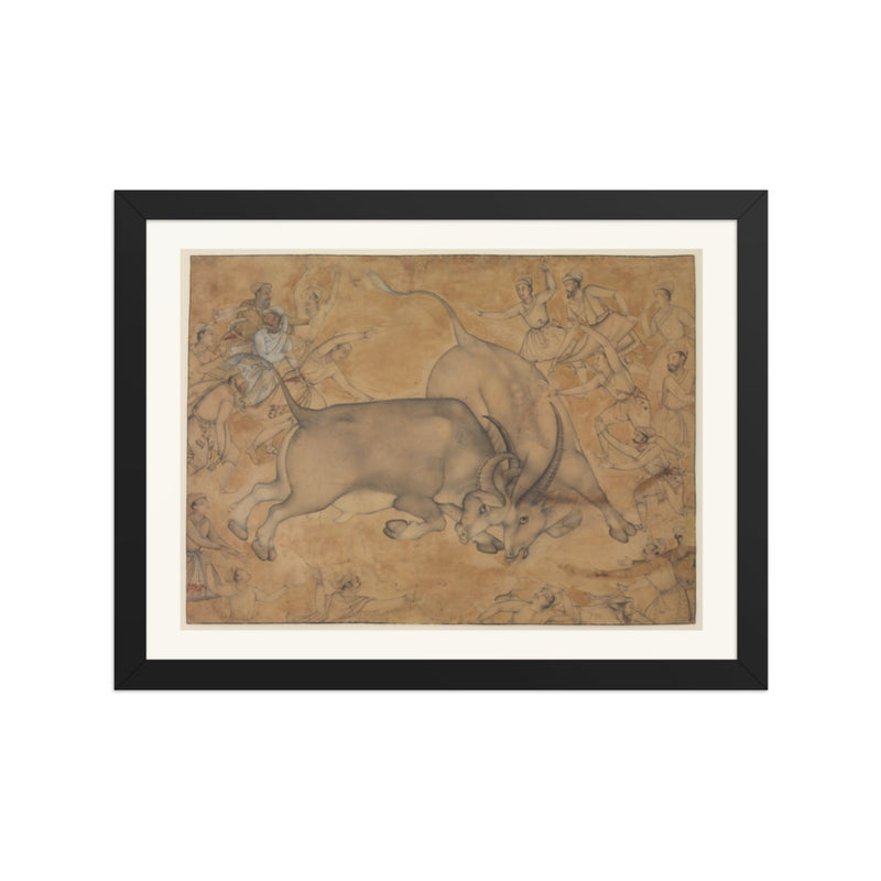 Buffaloes in Combat, attributed to Miskin | Restored Mughal Wall Art