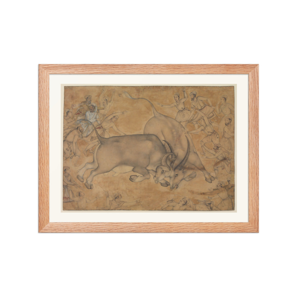 Buffaloes in Combat, attributed to Miskin | Restored Mughal Wall Art — view 2