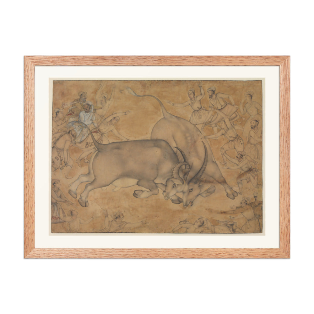 Buffaloes in Combat, attributed to Miskin | Restored Mughal Wall Art — view 5