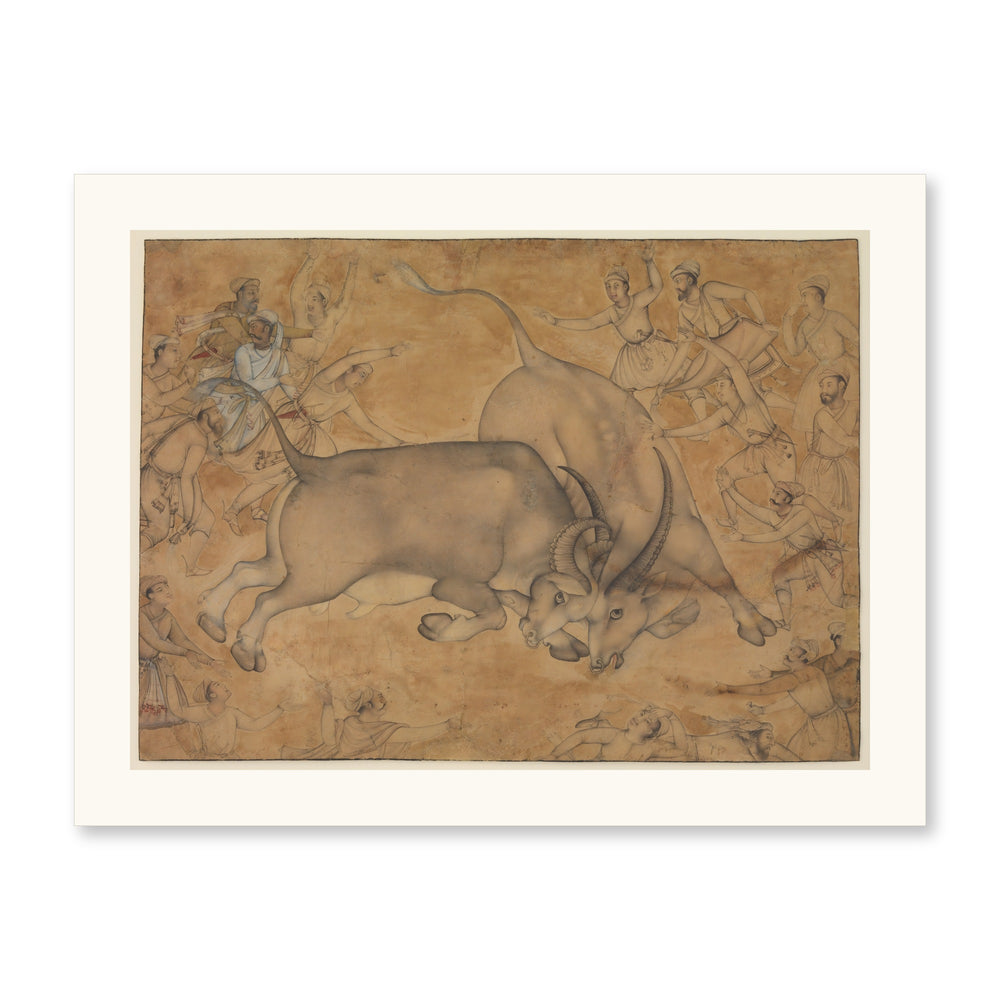 Buffaloes in Combat, attributed to Miskin | Restored Mughal Wall Art — view 7
