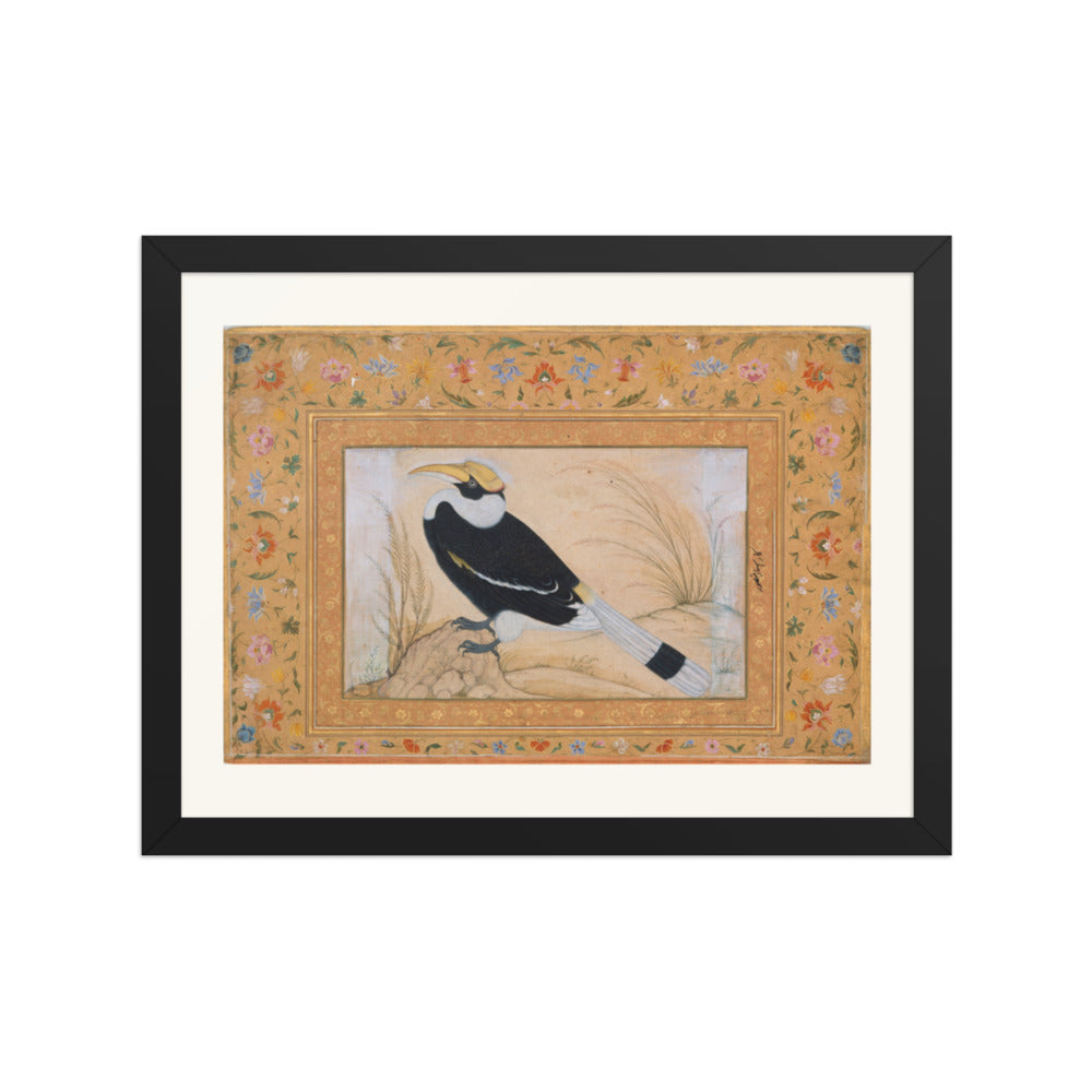 Great Hornbill, by Ustad Mansur | Restored Mughal Wall Art — view 2