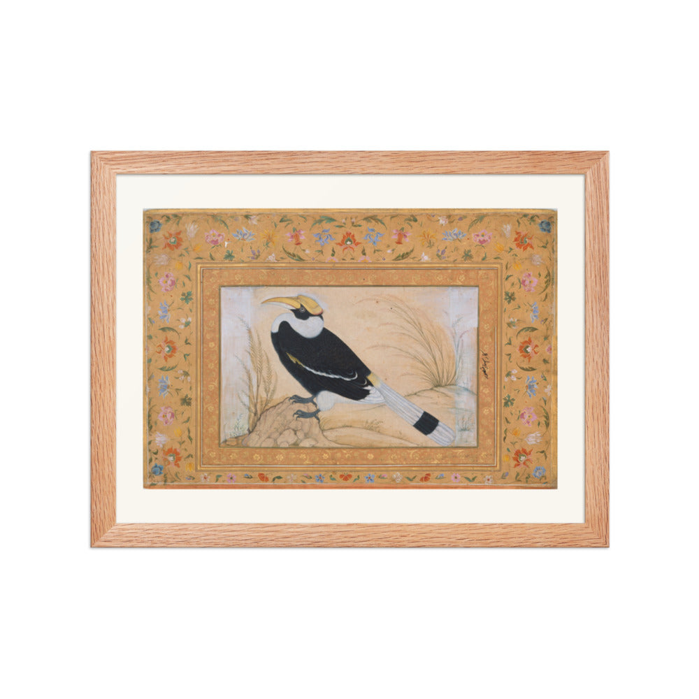 Great Hornbill, by Ustad Mansur | Restored Mughal Wall Art — view 4