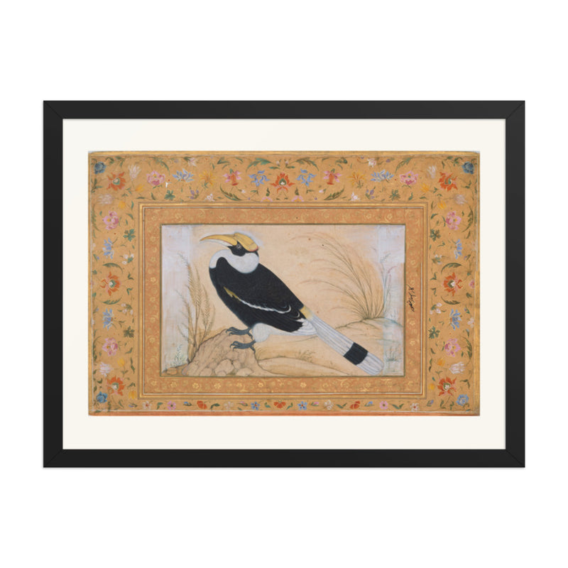 Great Hornbill, by Ustad Mansur | Restored Mughal Wall Art
