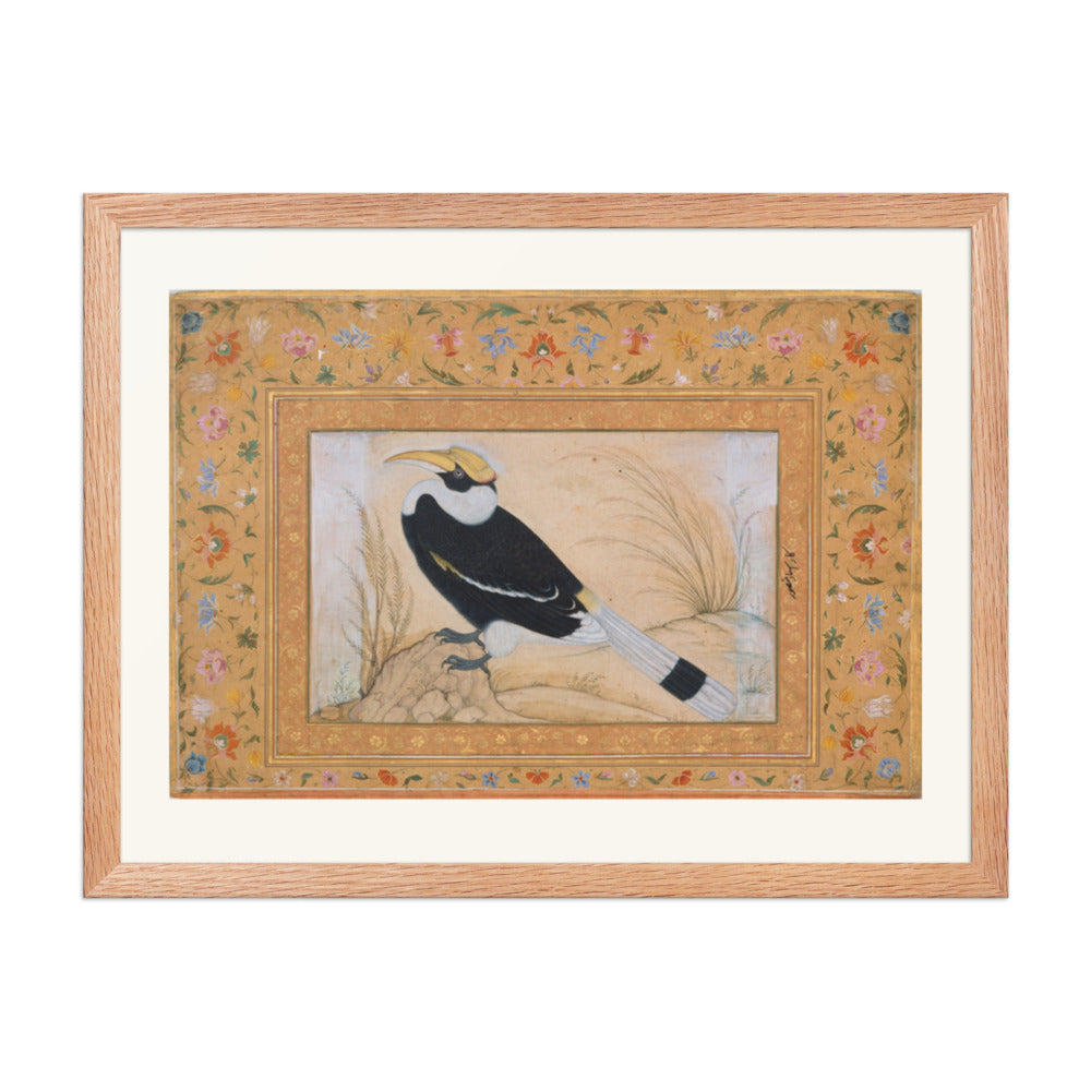 Great Hornbill, by Ustad Mansur | Restored Mughal Wall Art — view 3