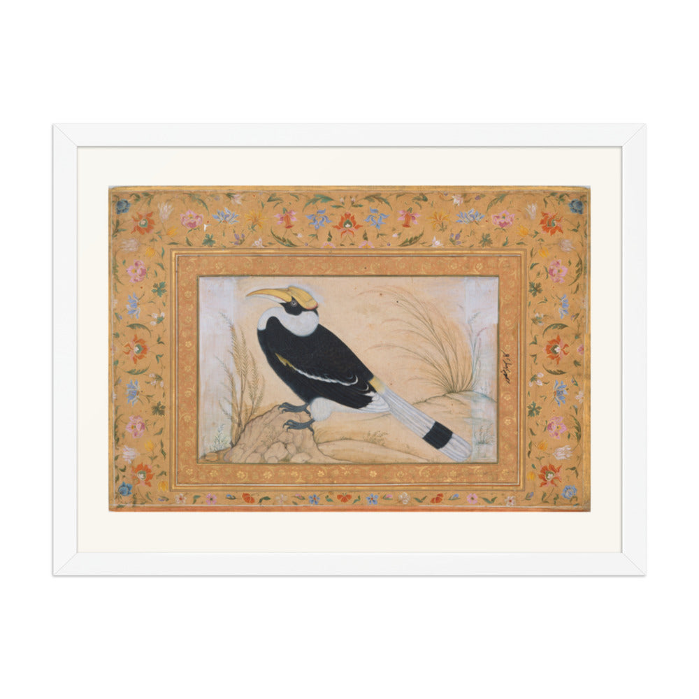 Great Hornbill, by Ustad Mansur | Restored Mughal Wall Art — view 5