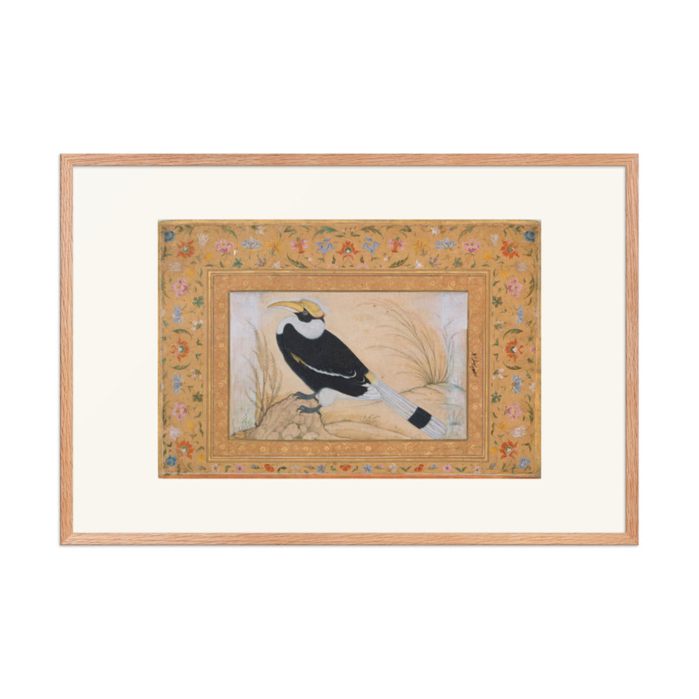 Great Hornbill, by Ustad Mansur | Restored Mughal Wall Art — view 9