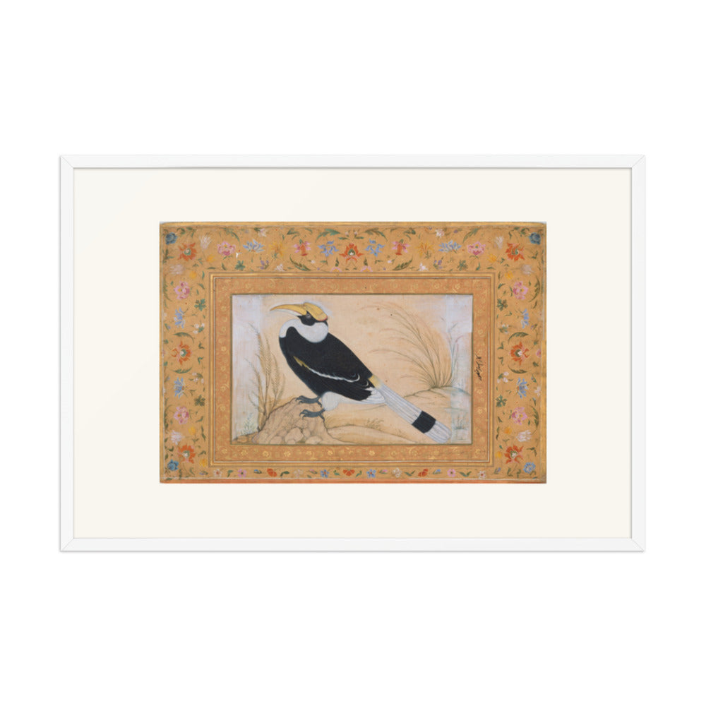 Great Hornbill, by Ustad Mansur | Restored Mughal Wall Art — view 10