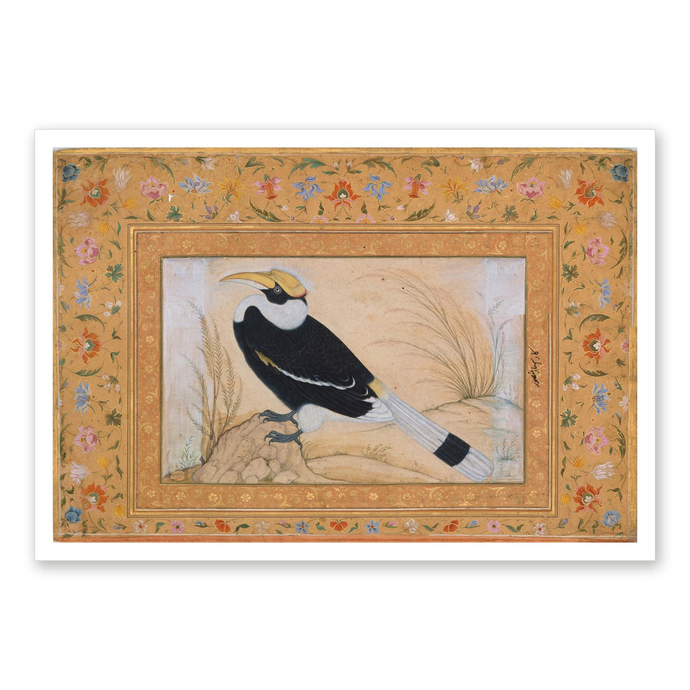Great Hornbill, by Ustad Mansur | Restored Mughal Wall Art — view 7