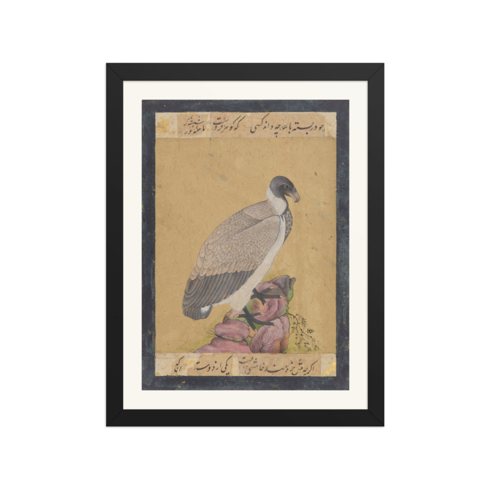 Indian Vulture | Restored Mughal Wall Art — view 2