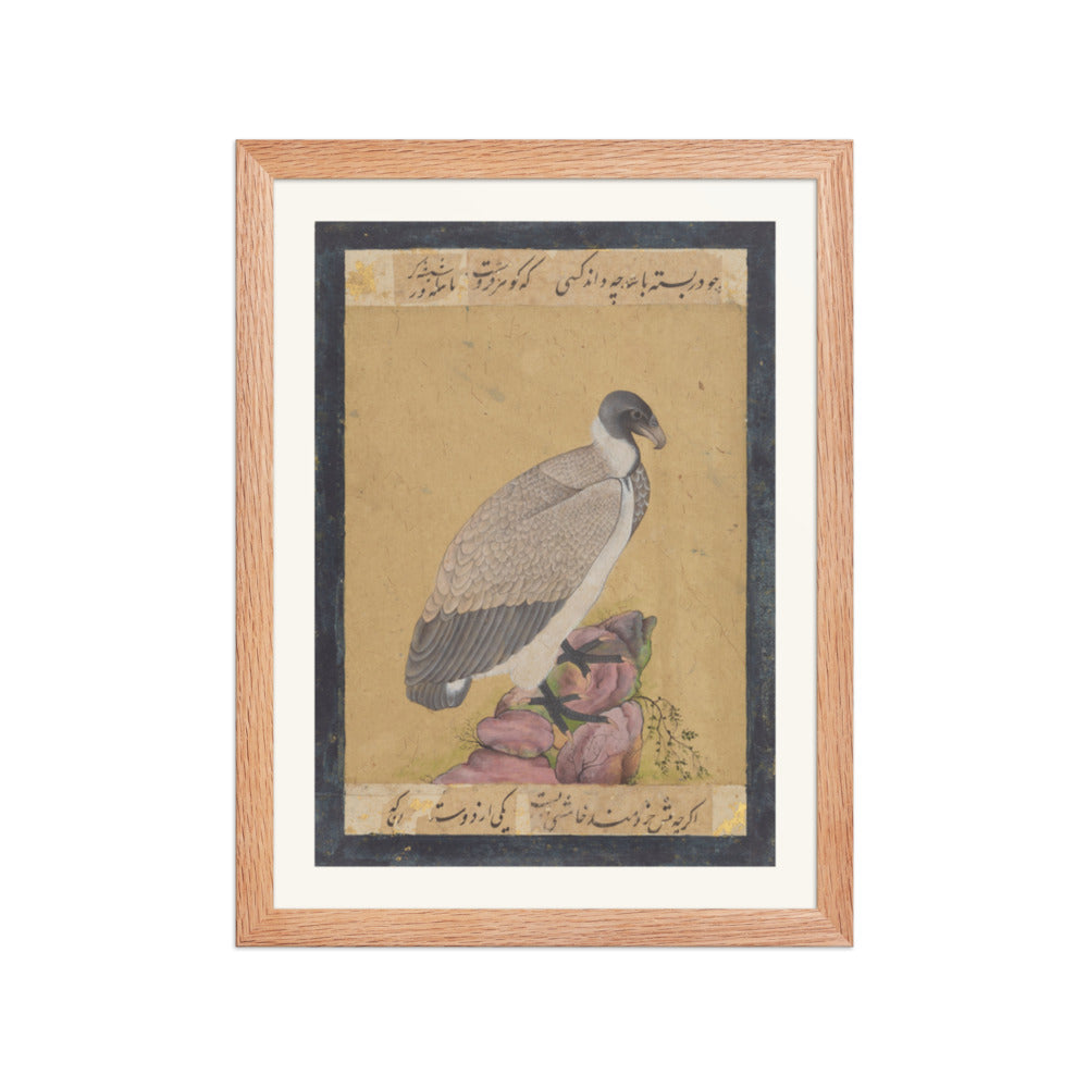 Indian Vulture | Restored Mughal Wall Art — view 4