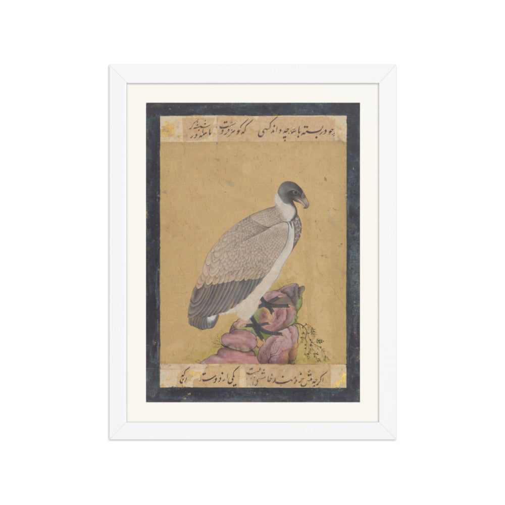 Indian Vulture | Restored Mughal Wall Art — view 6