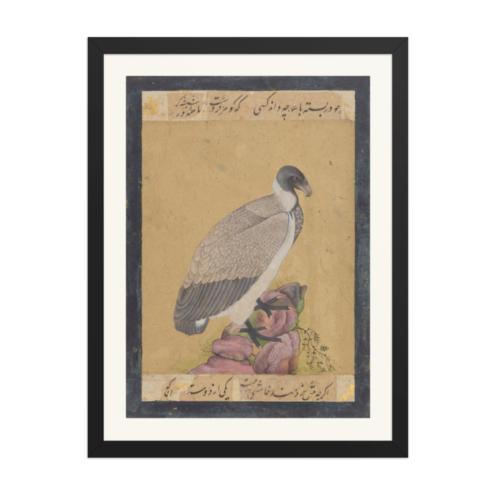 Indian Vulture | Restored Mughal Wall Art — view 1